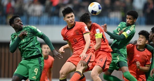 球队教练组展现出色指导能力