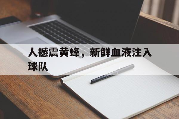 人撼震黄蜂，新鲜血液注入球队