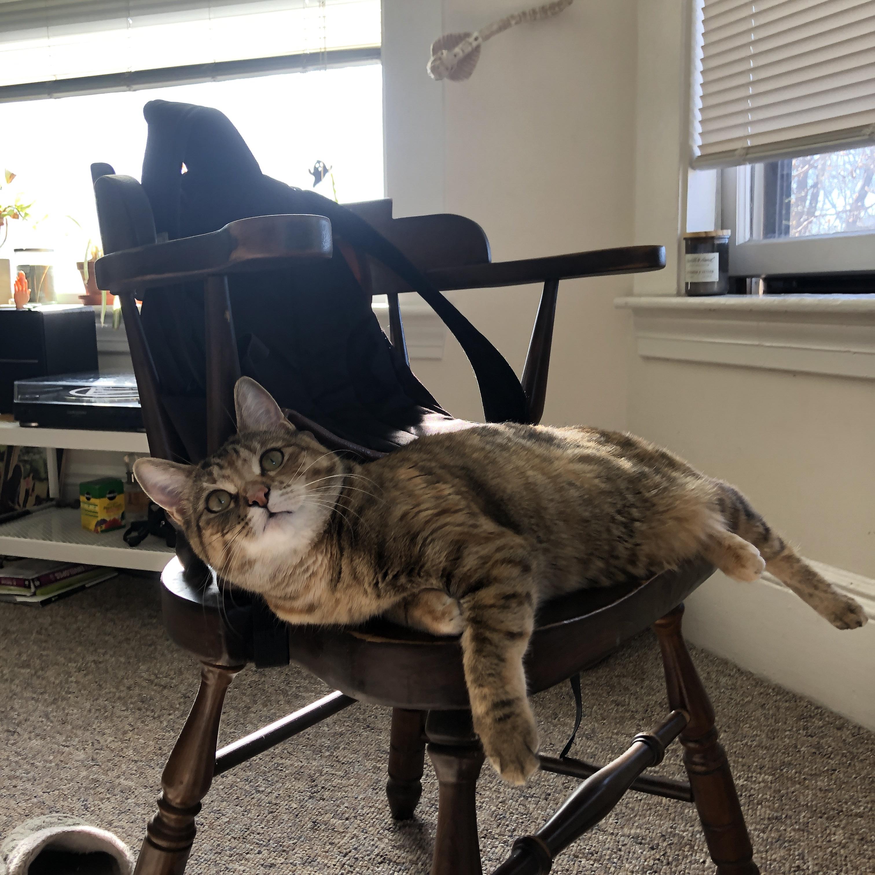 单节狂潮与独角戏，当团队风暴遇见个人神迹