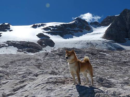 库尔图瓦绝杀定乾坤！韩国队稳守反击力克巴黎圣日耳曼