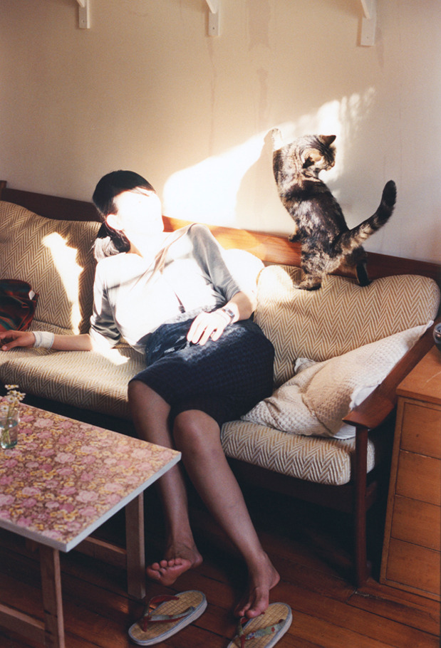 猛龙力克公牛展雄风,锡安美加墨世界杯接管比赛