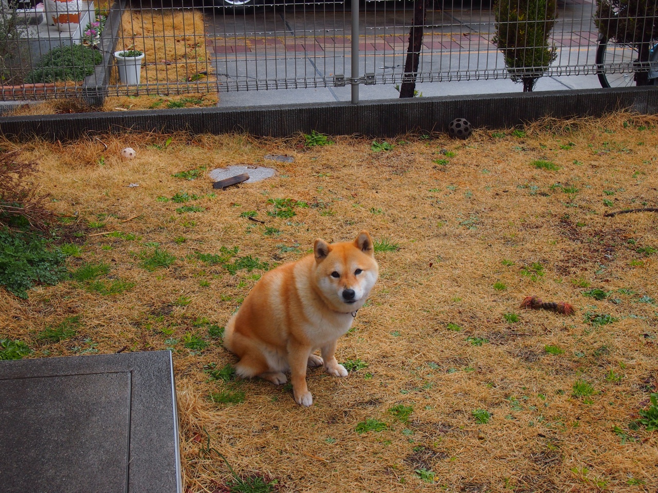 莱万完美发挥引领胜利，哥斯达黎加对阵墨西哥的经典之战