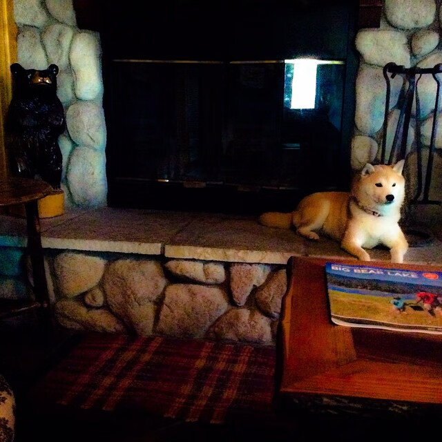 布伦森爆发引领爵士争冠战，力克山西队晋级