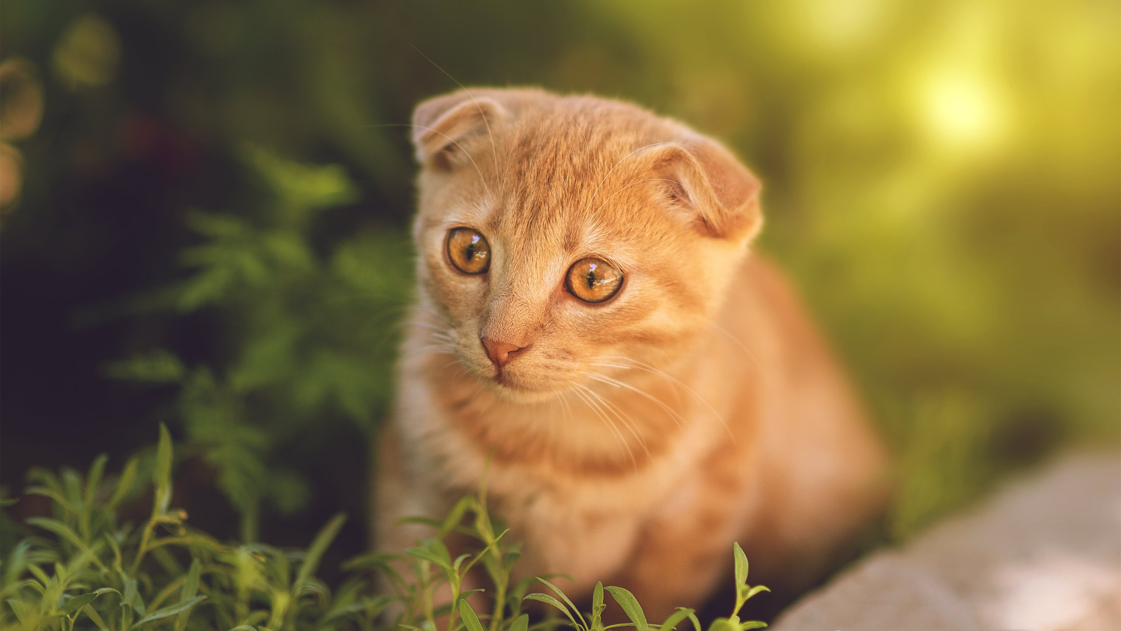 虚拟巅峰对决，广东队对阵湖人，伦纳德硬仗之王揭晓世纪疑问