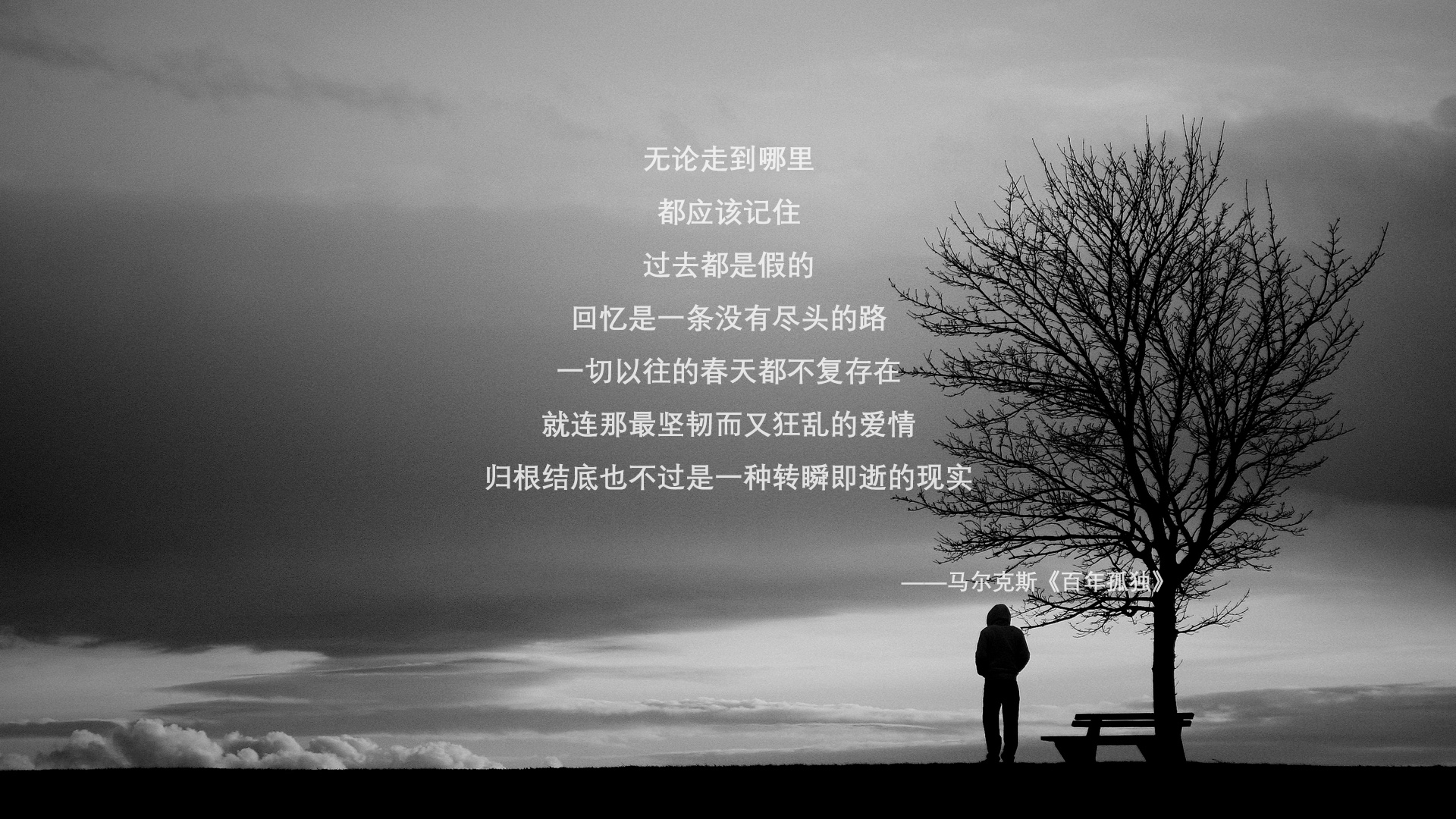 世俱杯奖金-锁链与烈火，当AC米兰防线哲学为阿根廷注入灵魂，劳塔罗用利刃改写命运