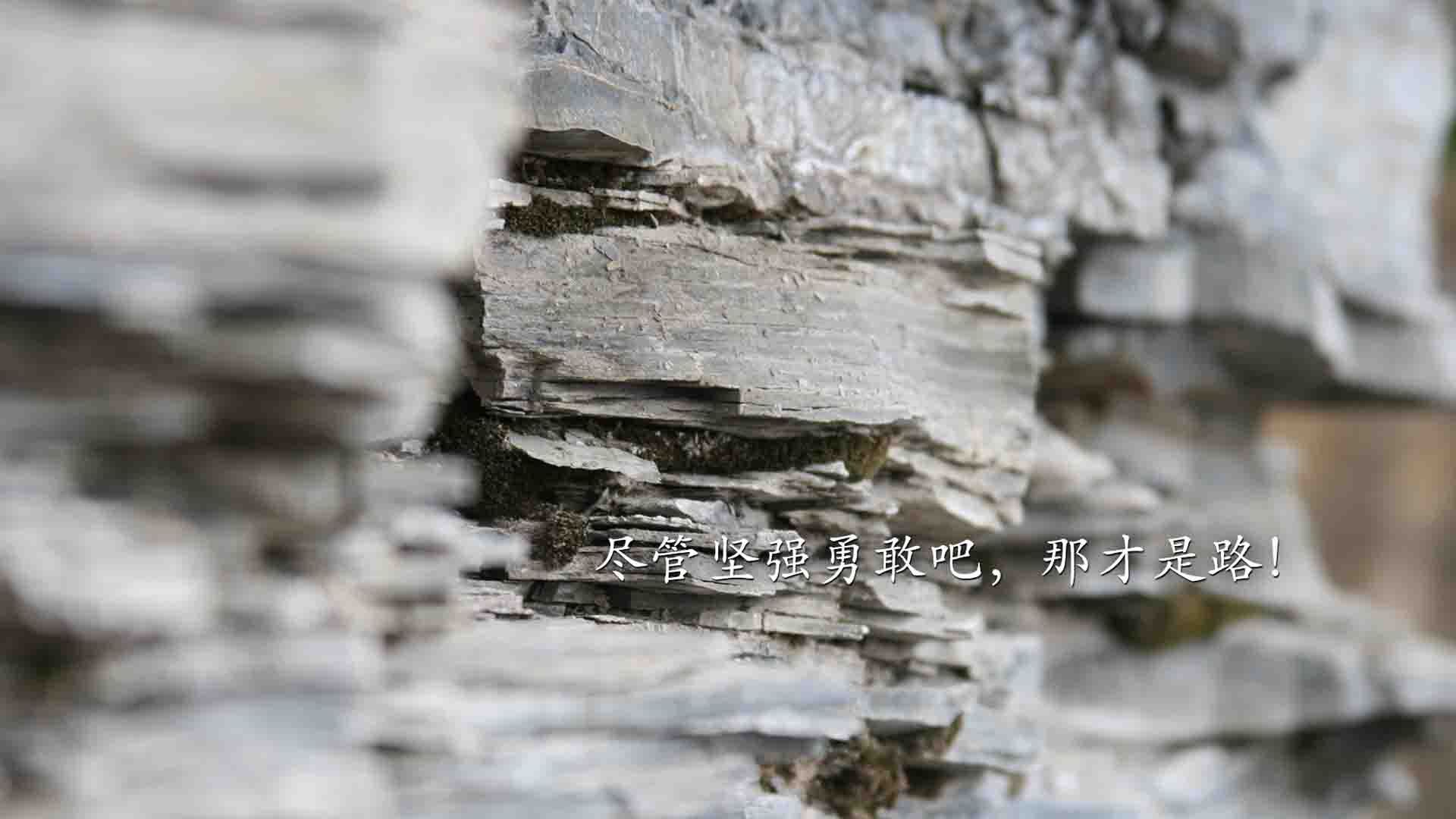 世俱杯时间-加维关键助攻引领战术革命，日本单节爆发拉开瑞典背后的足球哲学跃迁