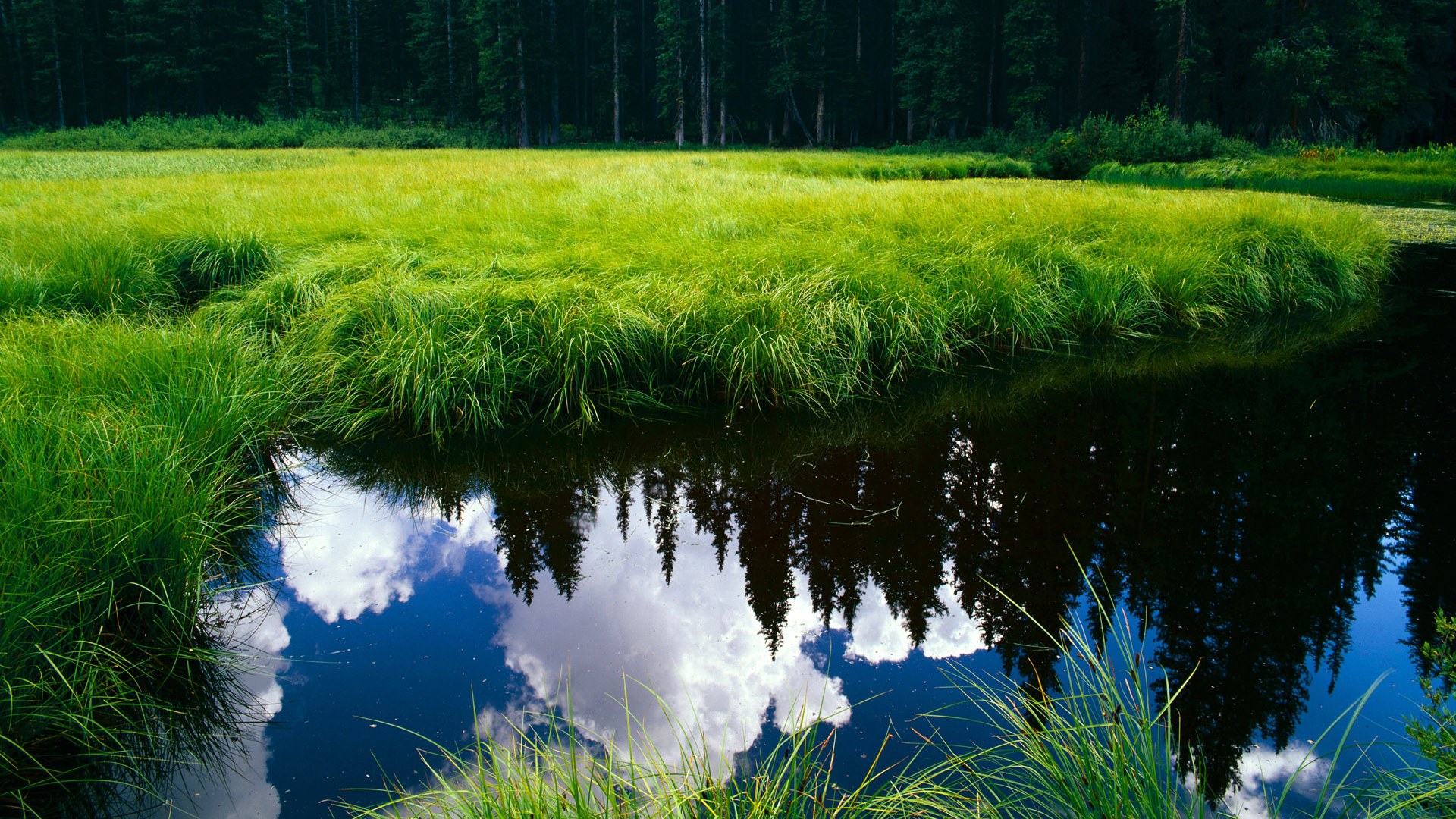 罗德里戈导演北欧风暴，挪威三球轻取韩国展露獠牙
