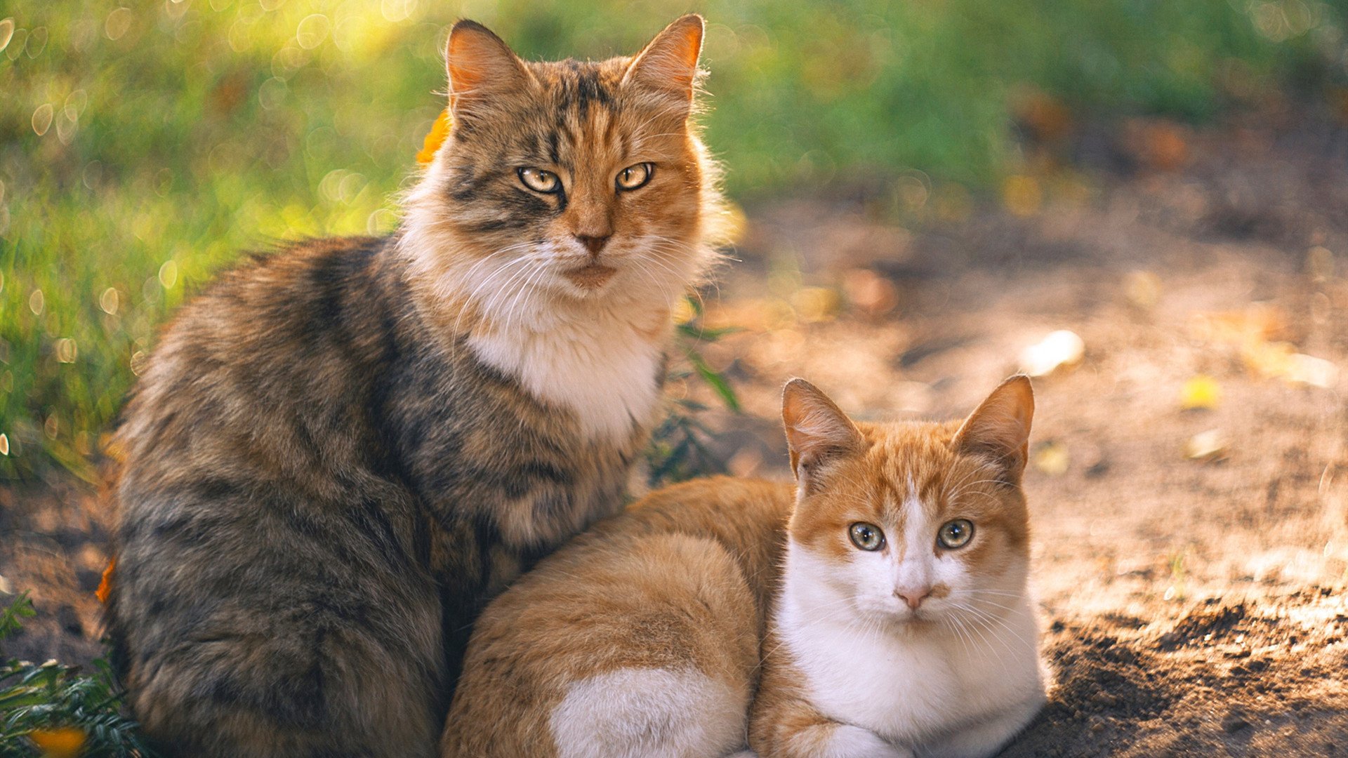 阿克爆发闪耀全场，毕尔巴鄂争冠战力克里昂