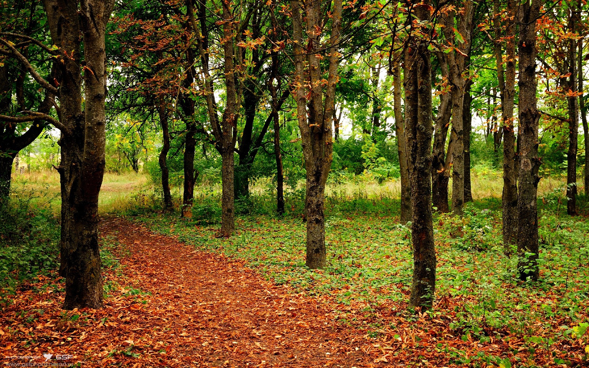 世俱杯参赛资格-个体核心与集体铁壁，格列兹曼的魔法与苏格兰的锁链