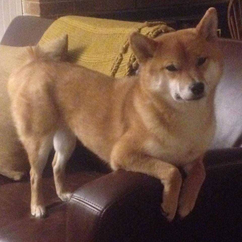 当76人的4秒快攻理论，遇上哈利伯顿的奥运时间魔法