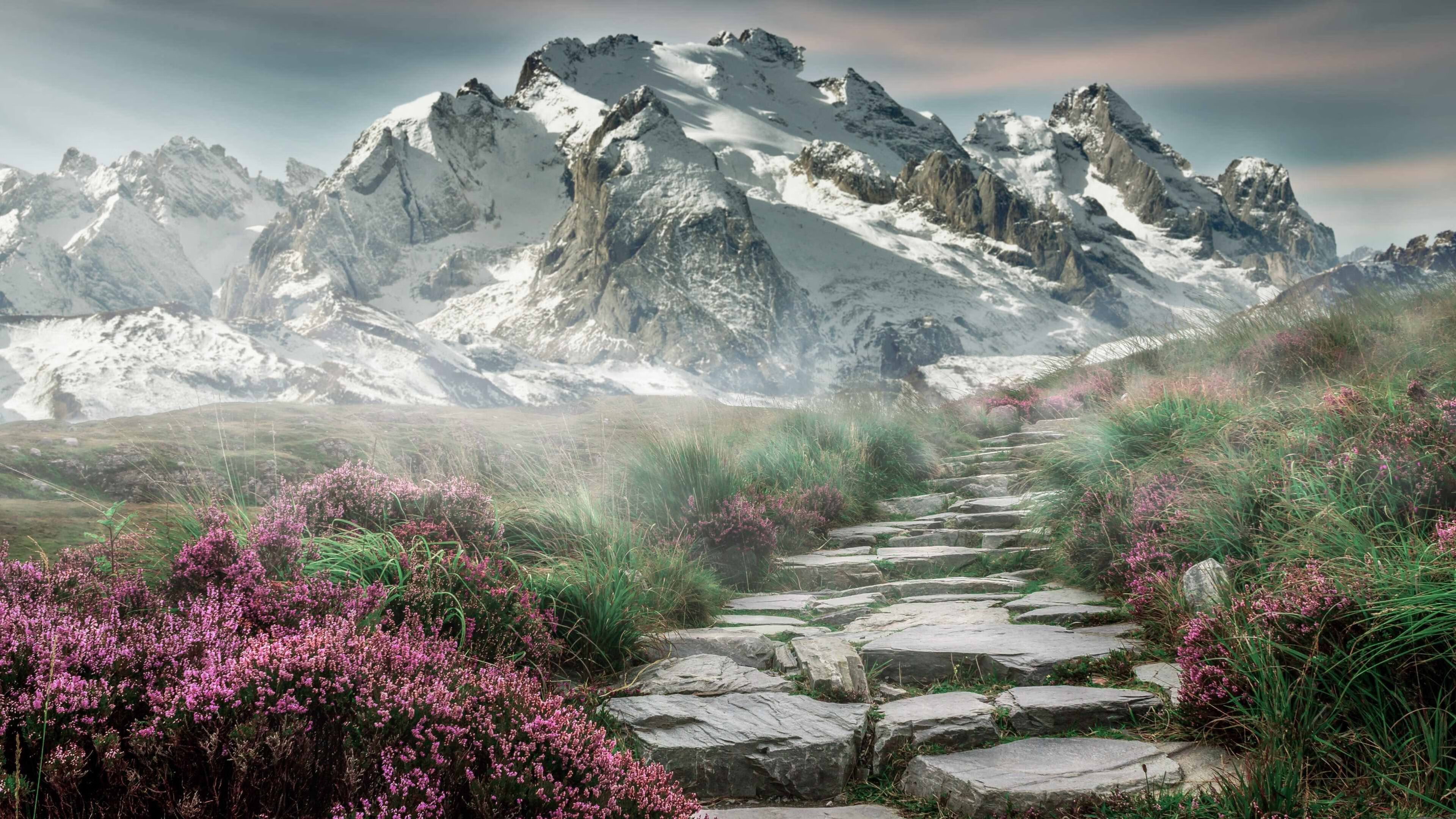 卡马文加末节魔法 爱尔兰铁血强压埃及