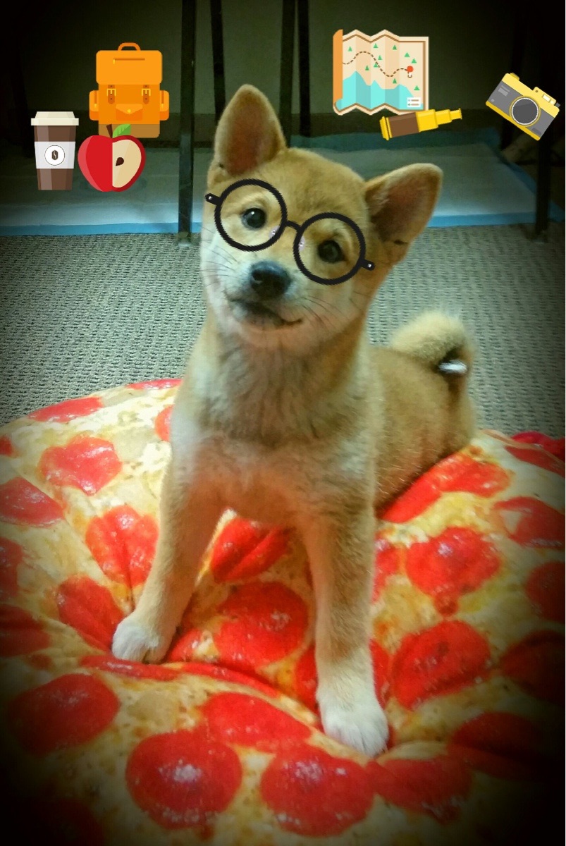 救赎与逆转之夜，伦纳德破茧成蝶，开拓者绝地反击