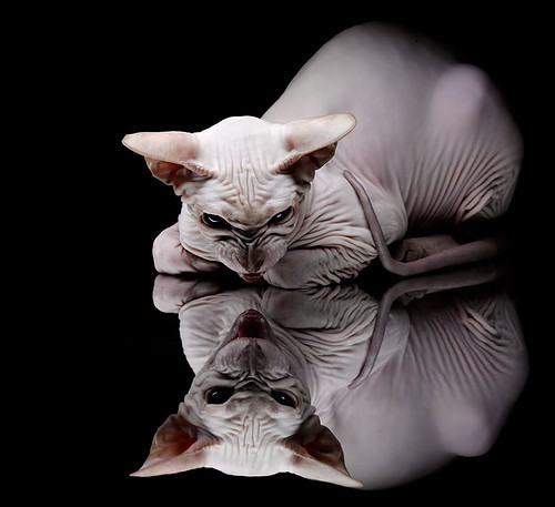 踏潮而来，威尔士以节奏利刃剖开卡塔尔防线