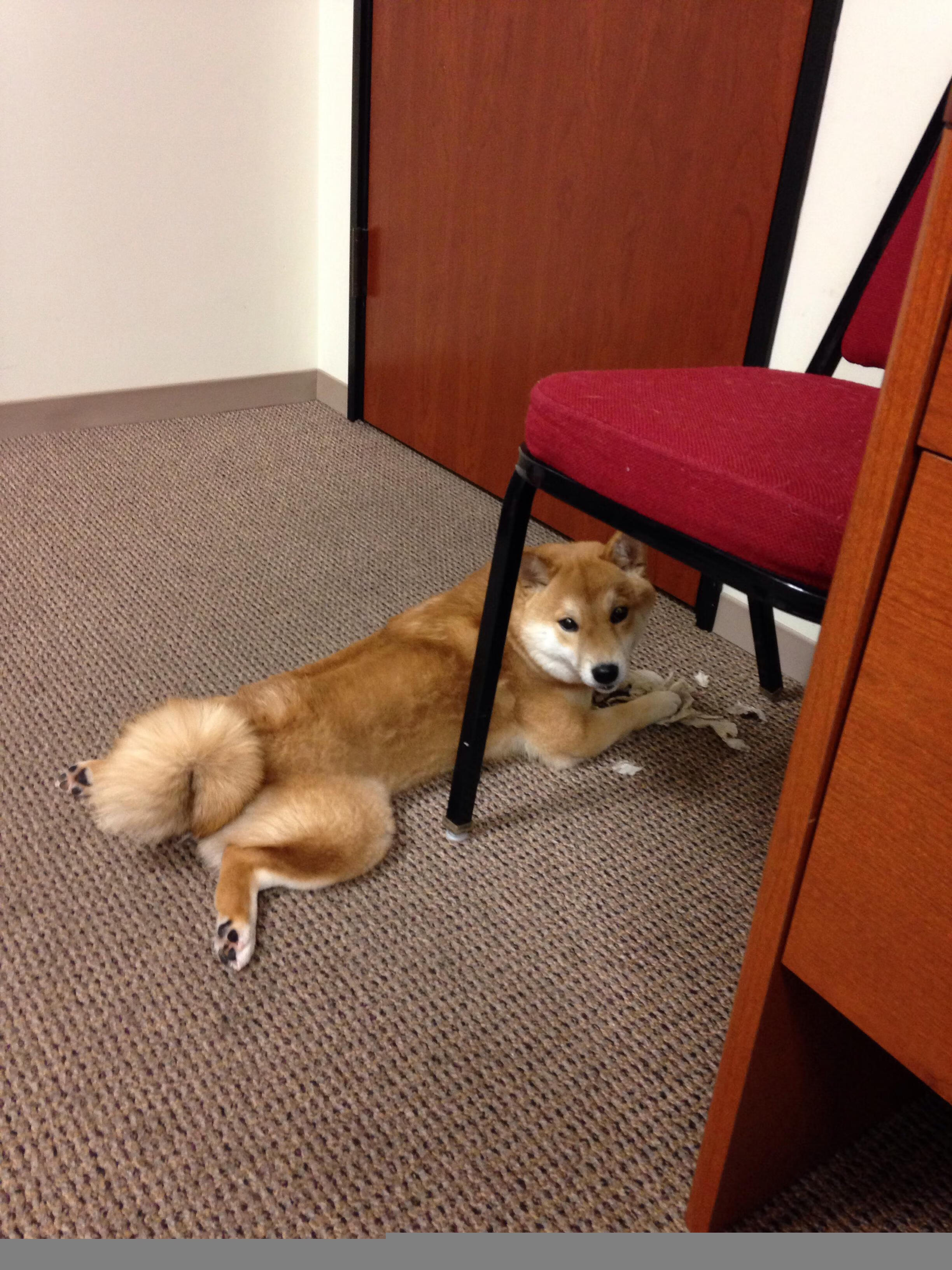 世俱杯-沉默者的回响，德罗赞用一记记中投为爵士写就淘汰奇才的宣言