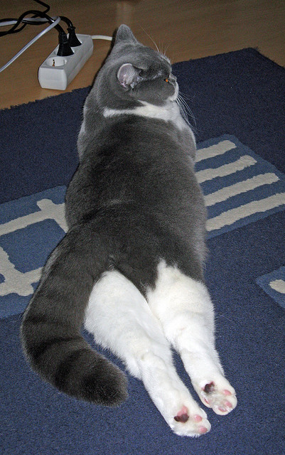 疆浙鏖战显铁血，英格拉姆破茧时，季后赛舞台上的个人与集体淬炼