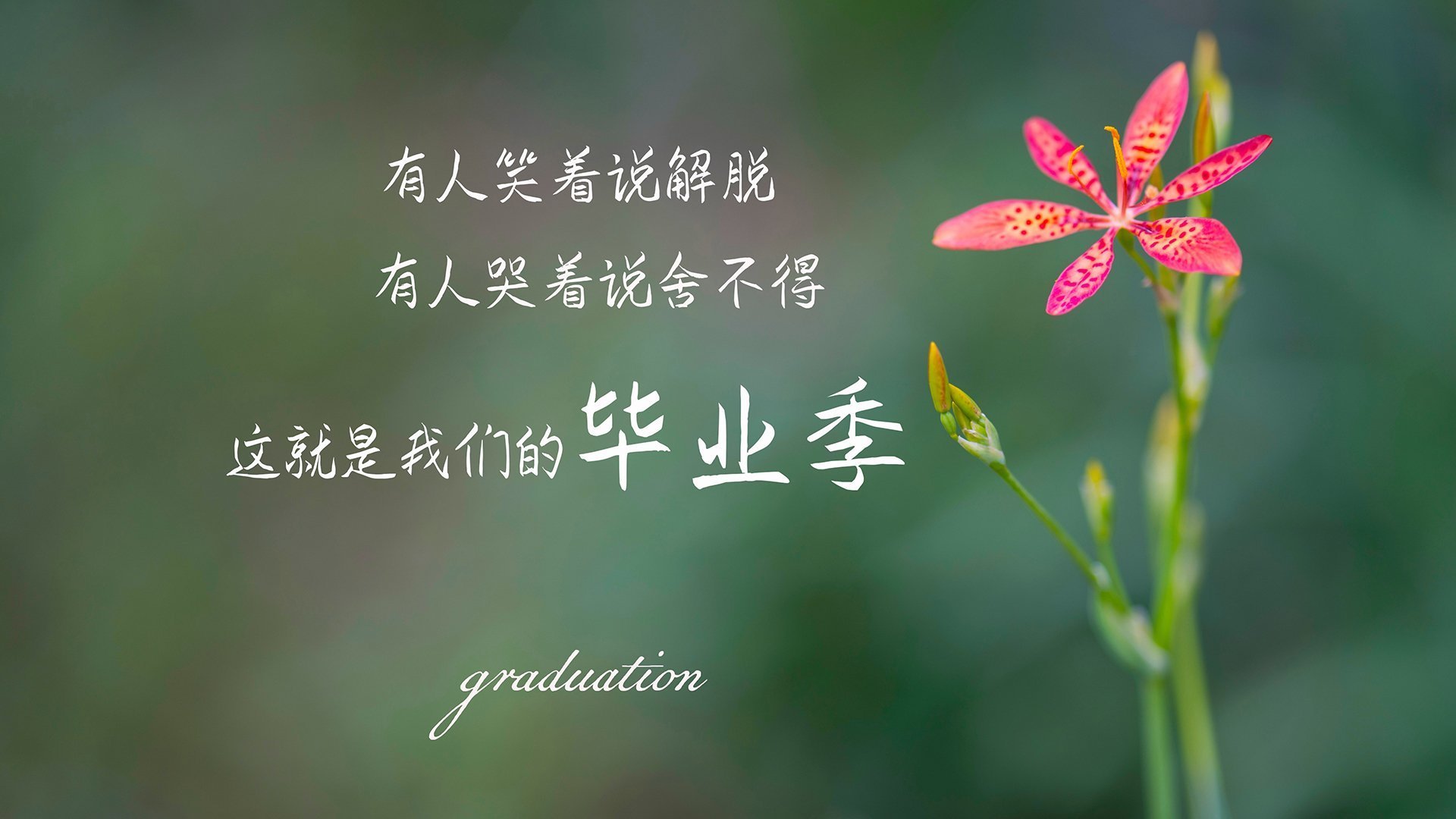 篮球双雄,北京队强压山西队,戈贝尔意甲焦点战主宰赛场