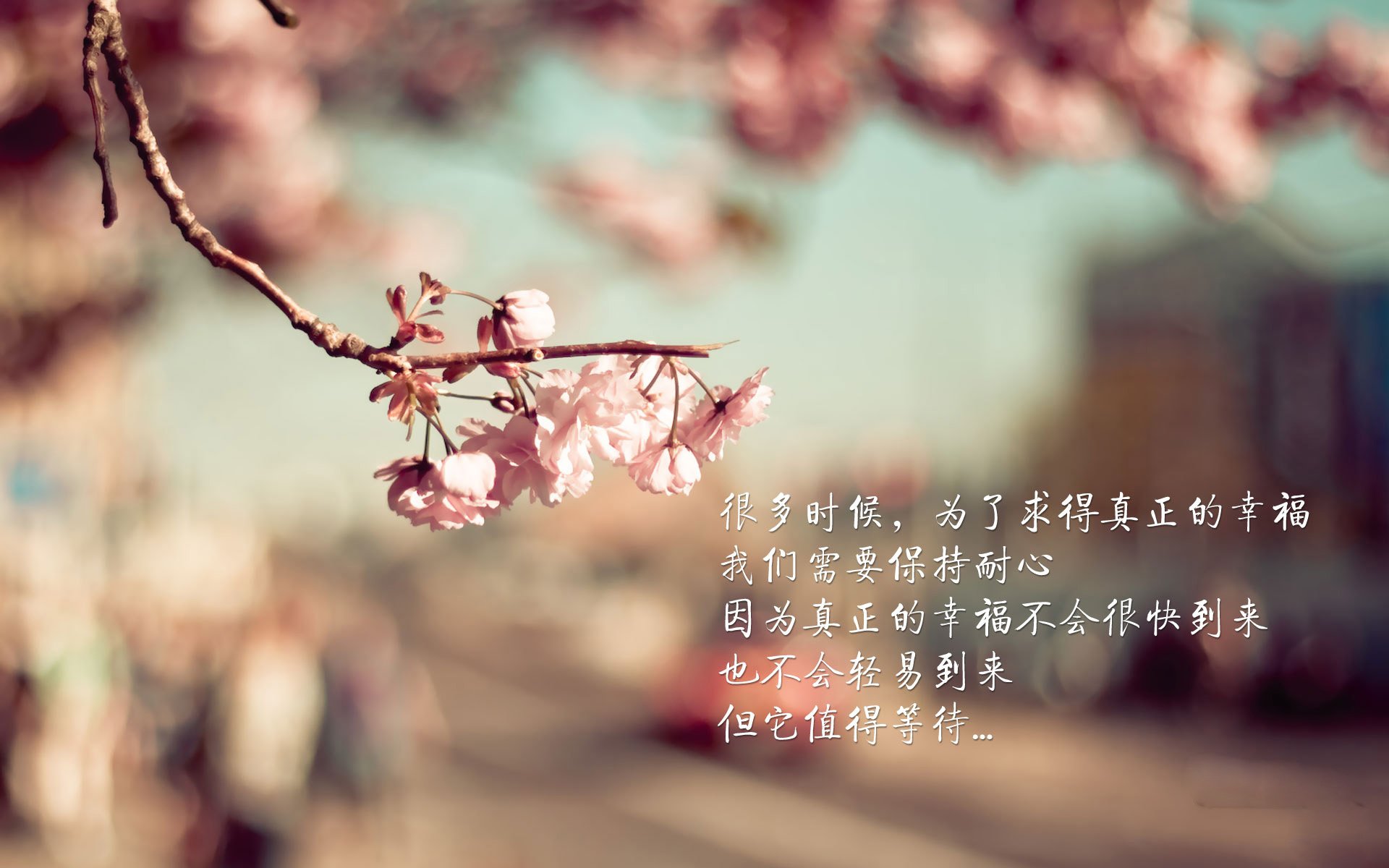 赛车轰鸣与绿茵绝杀，当F1极速遇上曼联一波流，胜利的剧本早已写在风中