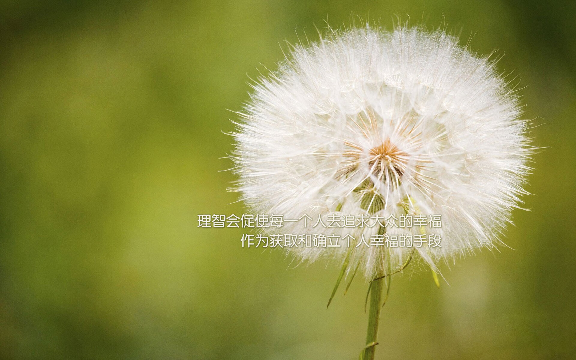 斗牛士的逆袭，坎塞洛闪耀全场，西班牙临场变阵险胜匈牙利